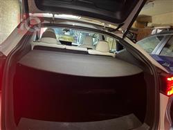 تسلا موديل Y